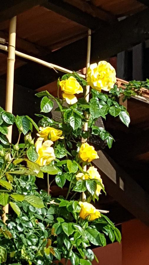 B&B La Cascina Di Monia E Mario Borgo Ticino Экстерьер фото